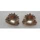 IRLANDE : Ordnance collar bagde