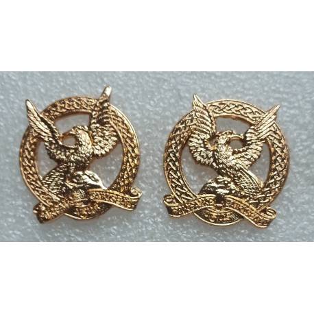 IRLANDE : Air Corps collar badge