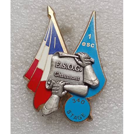 ESOG CHAUMONT 340e Stage 1er Escadron