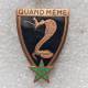 11e Régiment de Chasseurs d'Afrique Quand Même (naja)