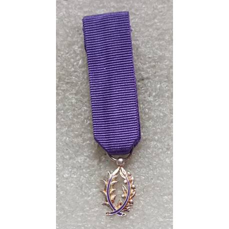 Ordre des Palmes Académique Chevalier (réduction)