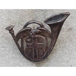 13e Bataillon de Chasseurs Alpins