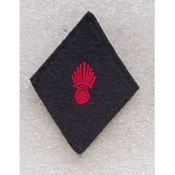 Vétérinaire troupe hors unité (losange de bras) homme du rang