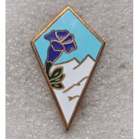 27e Division d'Infanterie Alpine émail