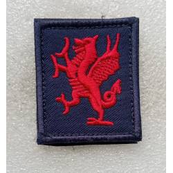 GB : 1st Bataollon The Royal Welsh Fusiliers (tissu)