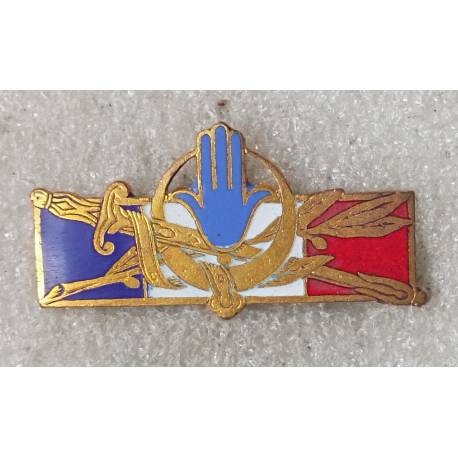 Forces Françaises en AFN