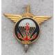 6e Régiment Parachutiste d'Infanterie de Marine (RPIMa) plat