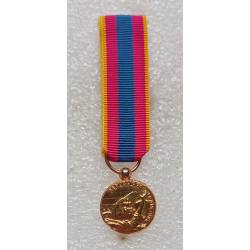 Médaille de la Défense Nationale classe or - réduction