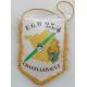 Fanion de l'Escadron Gendarmerie Mobile 23/4 de CHATELLERAULT 10x15cm plus franges