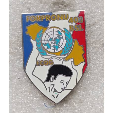 403e Bataillon de Soutien Logistique - Escadron de Cartier Général - FORPRONU