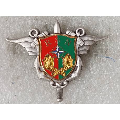 Détachement du Service des Essences des Armées - RSN - KFOR