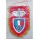 Fanion de l'ESOG de CHATELLERAULT 2e Compagnie 17,5x27cm + franges