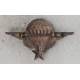 Brevet Parachutiste Militaire