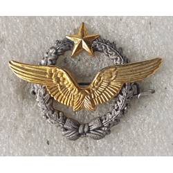 Brevet de Pilote de l'Armée de l'Air