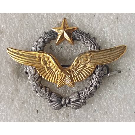 Brevet de Pilote de l'Armée de l'Air