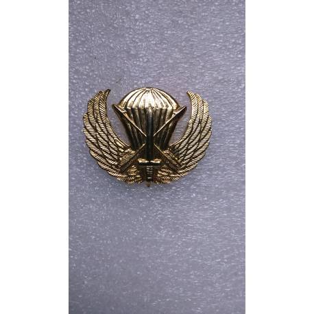 USA : Prototype de brevet de saut