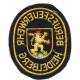 Sapeurs Pompiers professionnels de HEIDELBERG