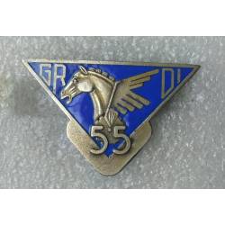 55e Groupe de Reconnaissance de Division d'Infanterie (GRDI)