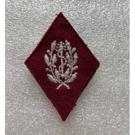 Auxiliaire Sanitaire homme du rang